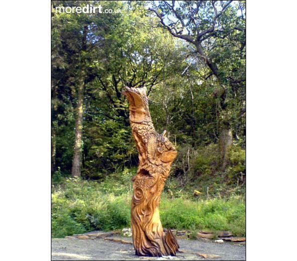 Derwen Trail - Brechfa