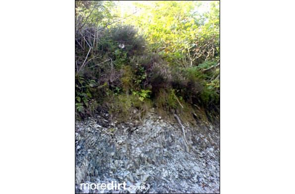 Derwen Trail - Brechfa