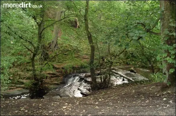 Picturesque part of Hollywell Dene.