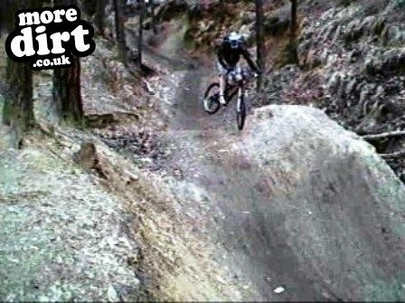 Swinley Forest Mountain Bike Centre