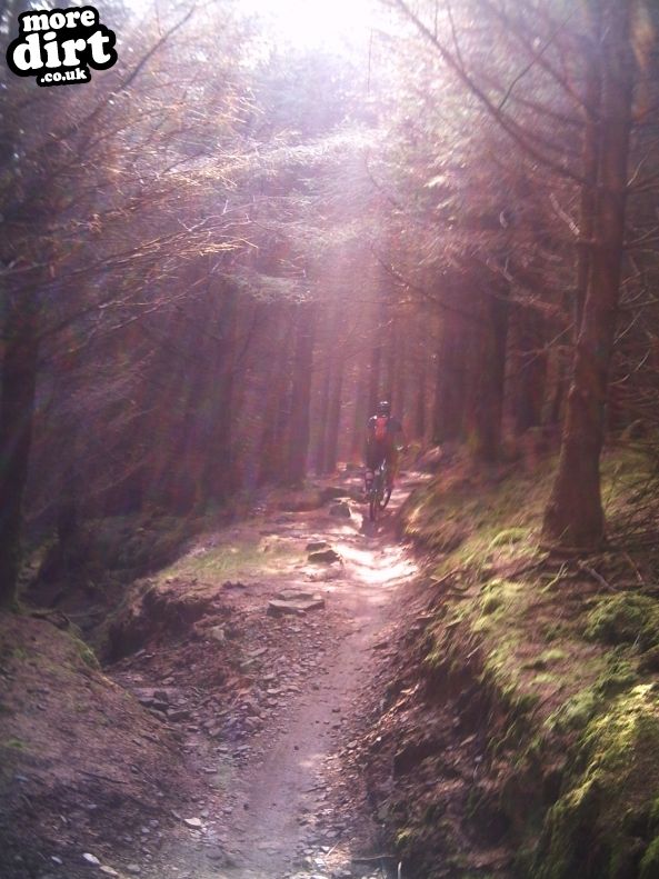W2 Trail - Afan Forest