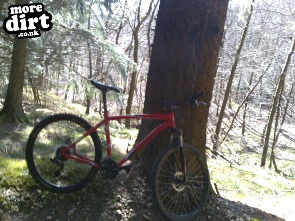 Gisburn Forest Mountain Bike Trails