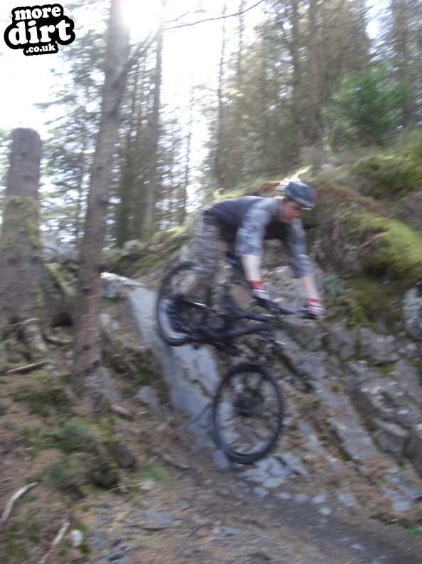 Black Craigs Trail - Kirroughtree