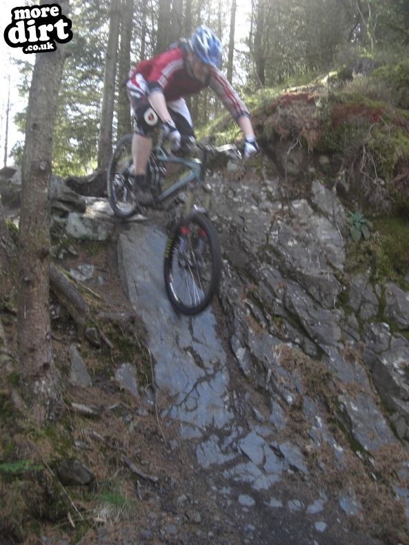 Black Craigs Trail - Kirroughtree