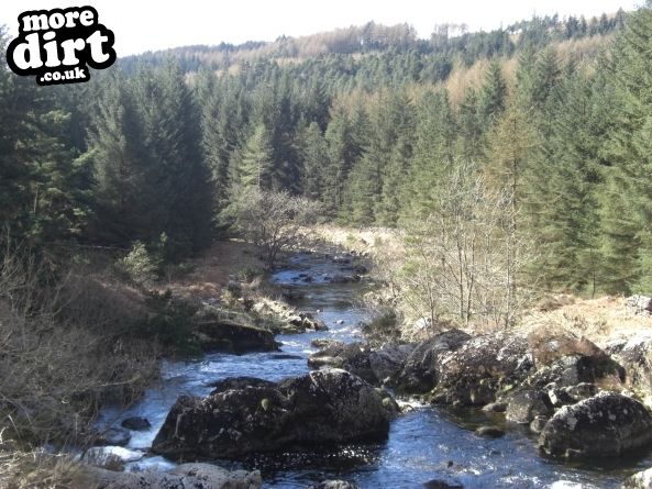 Black Craigs Trail - Kirroughtree