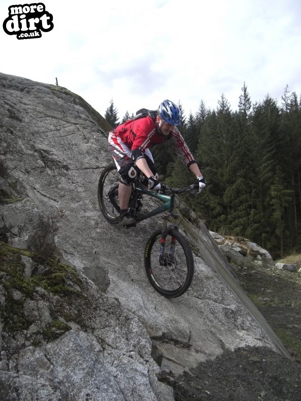 Black Craigs Trail - Kirroughtree