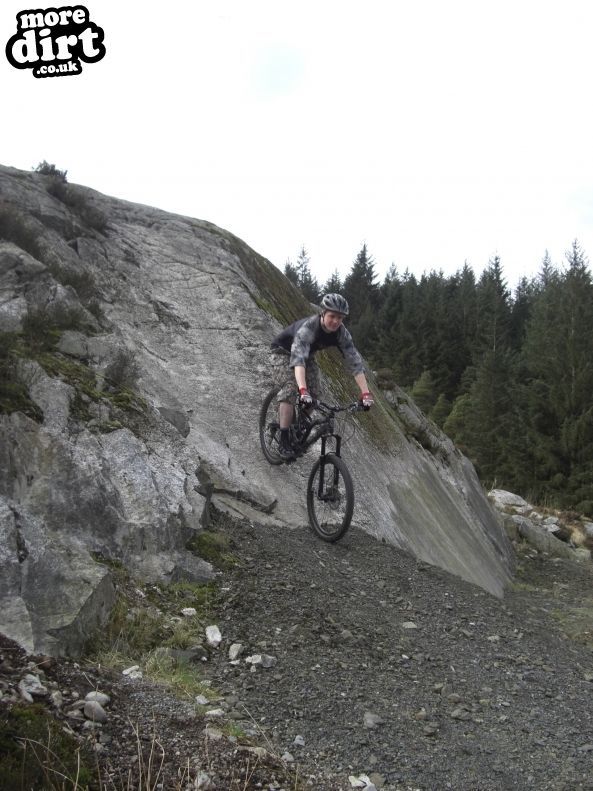 Black Craigs Trail - Kirroughtree