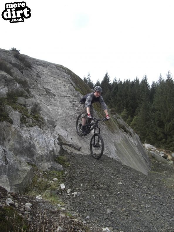 Black Craigs Trail - Kirroughtree