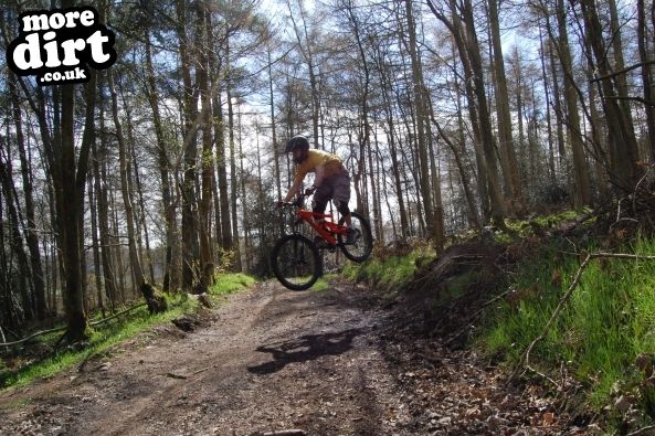 Eastridge Downhill Trails