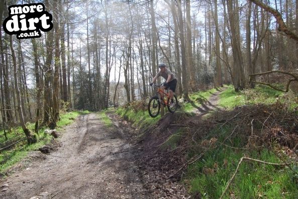 Eastridge Downhill Trails