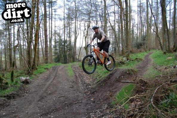 Eastridge Downhill Trails