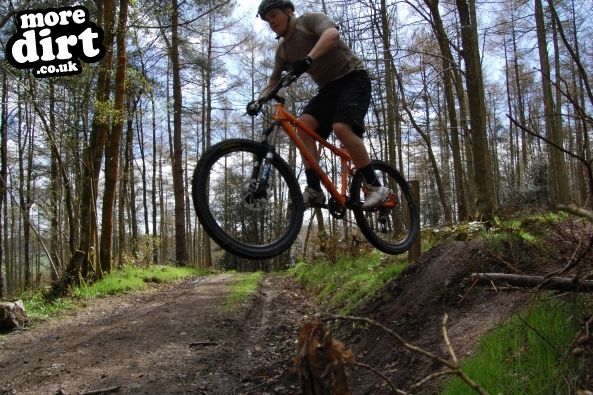 Eastridge Downhill Trails