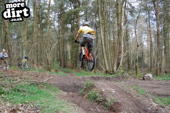 Eastridge Downhill Trails