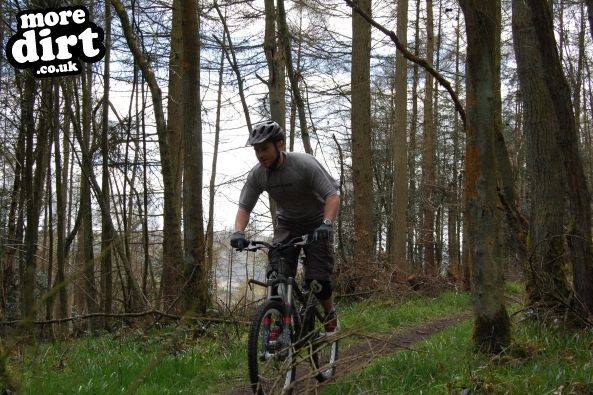 Eastridge Downhill Trails