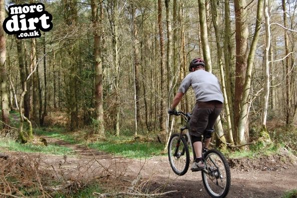 Eastridge Downhill Trails