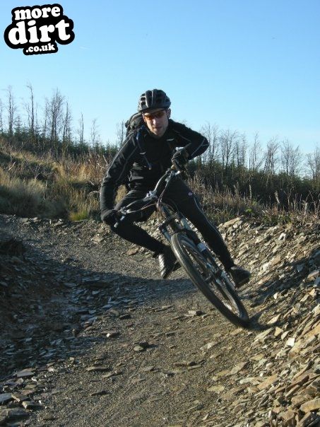 Gorlech Trail - Brechfa