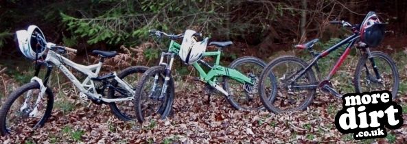 Silton Forest Downhill Track