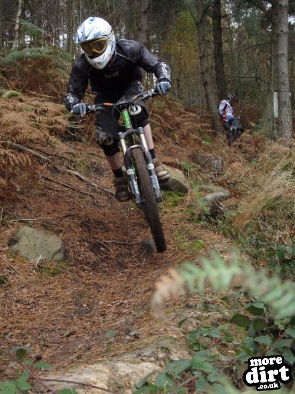 Silton Forest Downhill Track