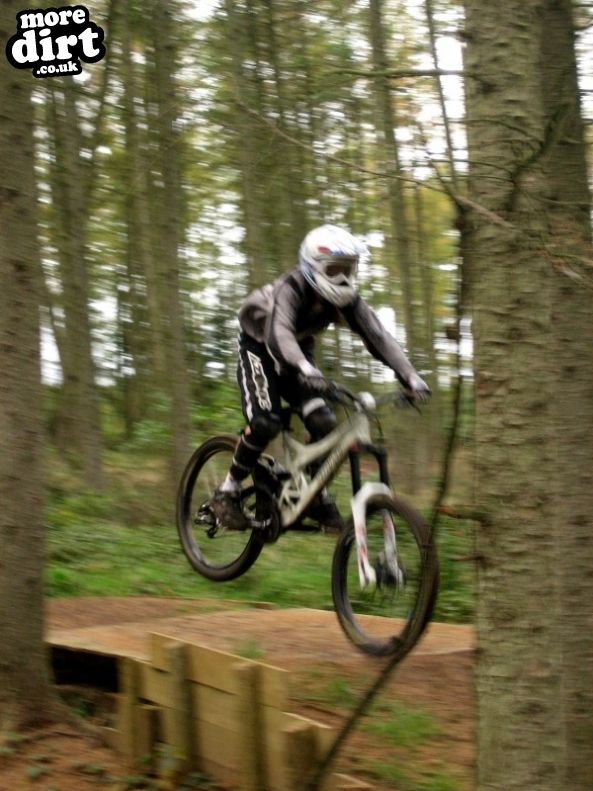 Silton Forest Downhill Track