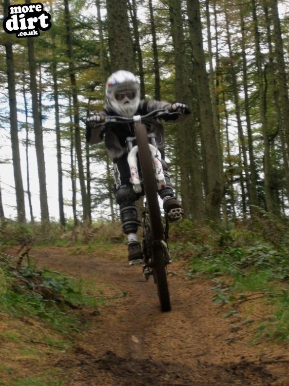Silton Forest Downhill Track