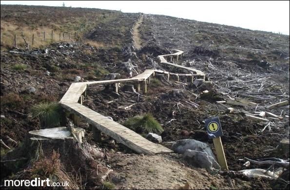 Up and Over Trail - Kielder Forest