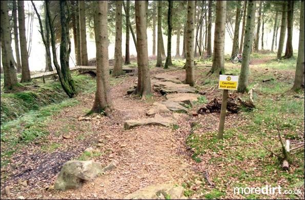 Castle Wood Skills Loop - Kielder Castle
