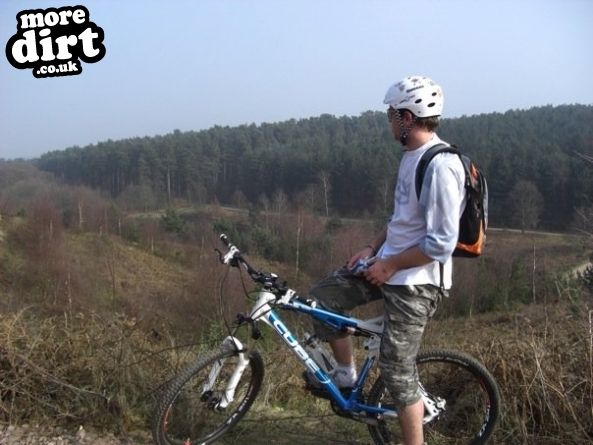 Follow the Dog Trail - Cannock Chase