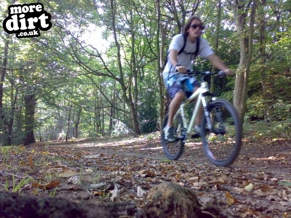 Temple Newsam Trails