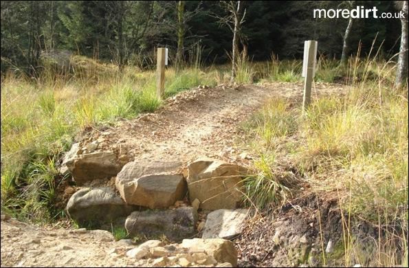 Up and Over Trail - Kielder Forest
