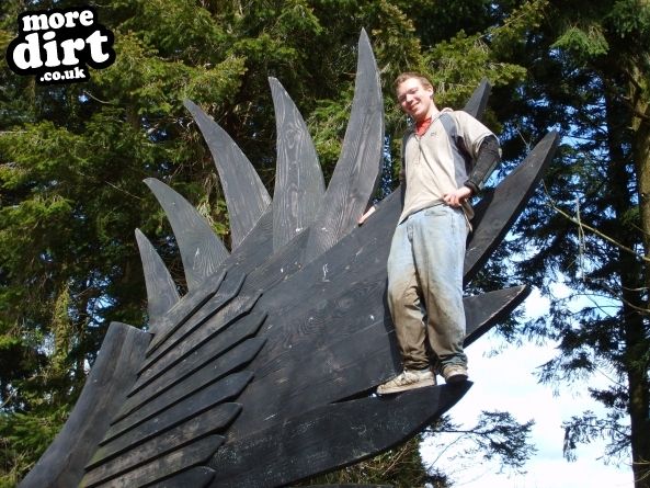 Raven Trail - Brechfa