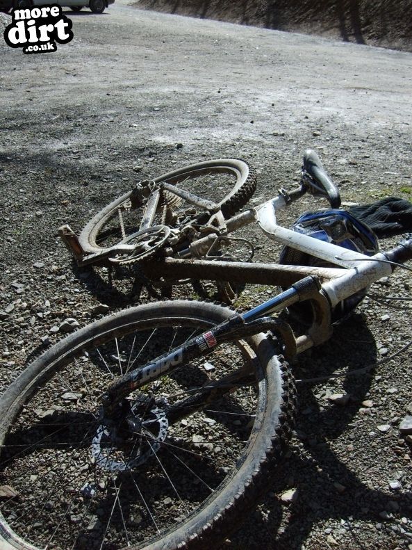 Raven Trail - Brechfa