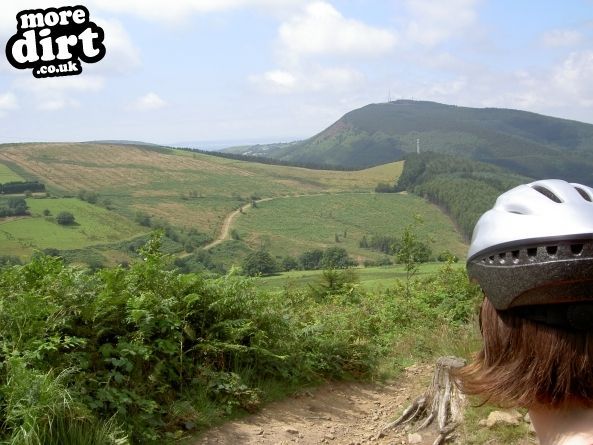 Penhydd Trail -  Afan Forest