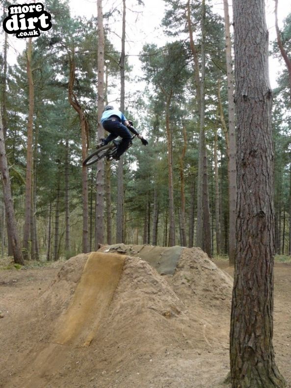 Chicksands Bike Park