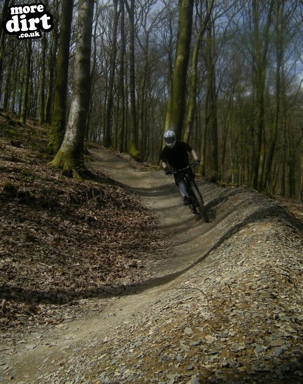 Raven Trail - Brechfa