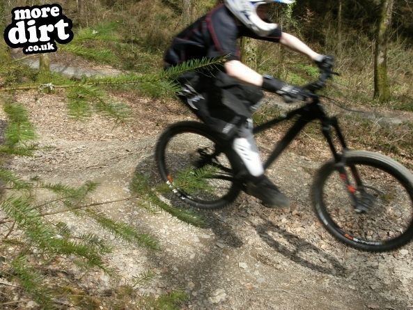 Raven Trail - Brechfa