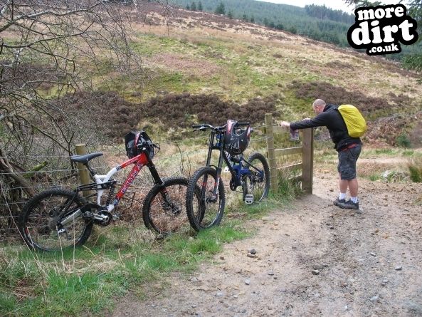 Up and Over Trail - Kielder Forest