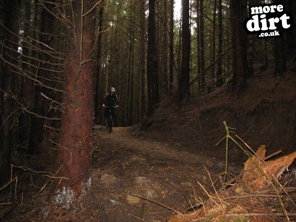Up and Over Trail - Kielder Forest