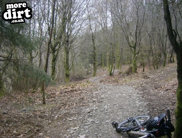 Raven Trail - Brechfa