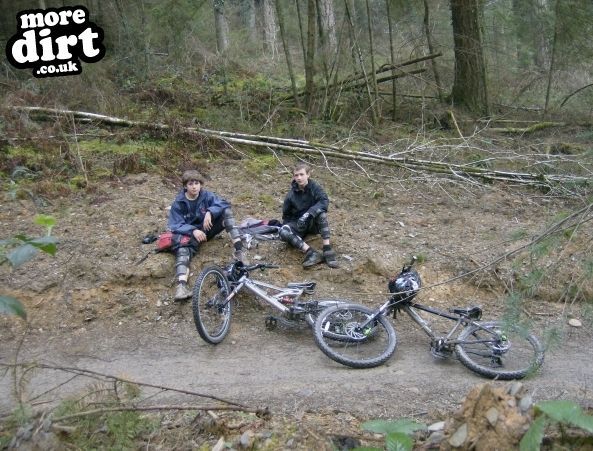 Raven Trail - Brechfa