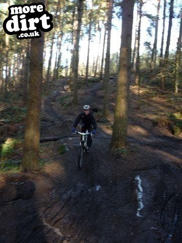 Delamere Forest Mountain Bike Trails