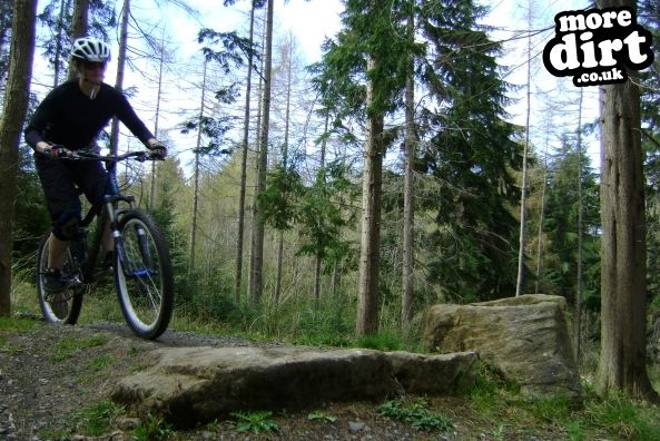 Hamsterley Forest Mountain Bike Trails