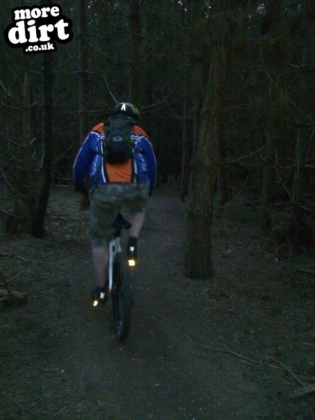 Follow the Dog Trail - Cannock Chase