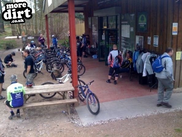 Follow the Dog Trail - Cannock Chase
