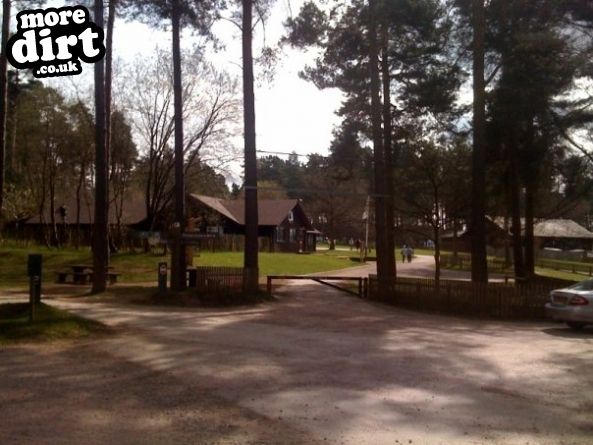 Follow the Dog Trail - Cannock Chase