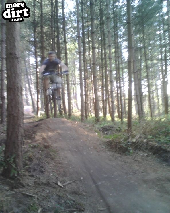 Adventure Cycle Trail - Sherwood Pines