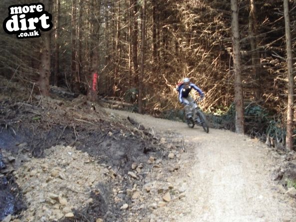 Lonesome Pine Trail - Kielder Forest
