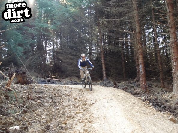 Lonesome Pine Trail - Kielder Forest