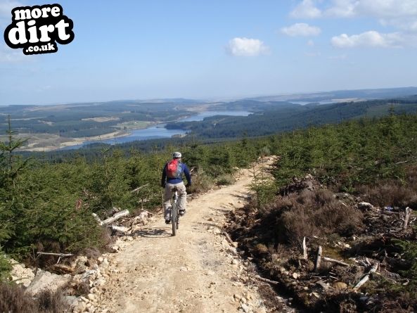 Lonesome Pine Trail - Kielder Forest