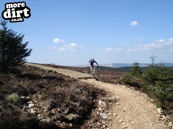Lonesome Pine Trail - Kielder Forest