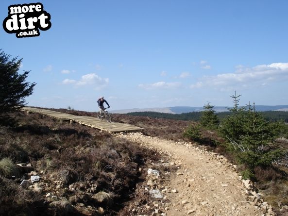 Lonesome Pine Trail - Kielder Forest